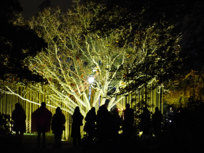 Mensen bekiijken mijn lichtinstallatie in Arboretum Trompenburg